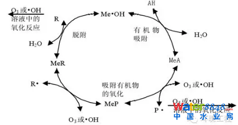 ߼(j)g(sh)̎BVҺоF(xin)cM(jn)չ