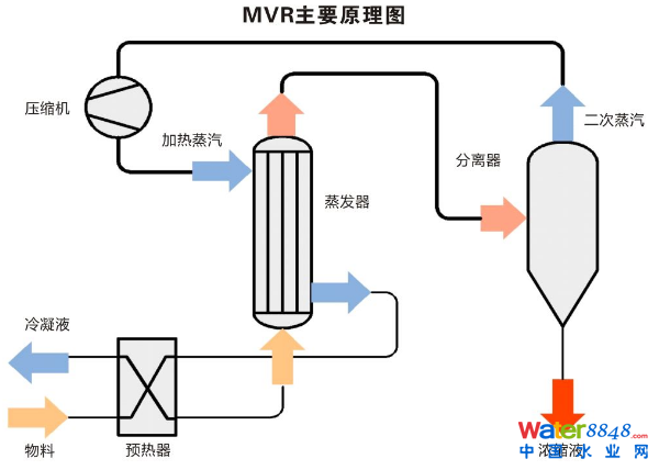 mvrl(f)ϵy(tng)